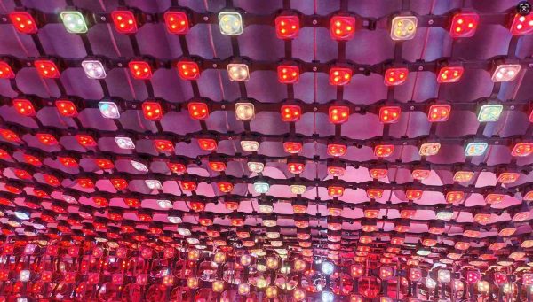 LED Mesh Screens: Groundbreaking Options for Artistic Illumination ...